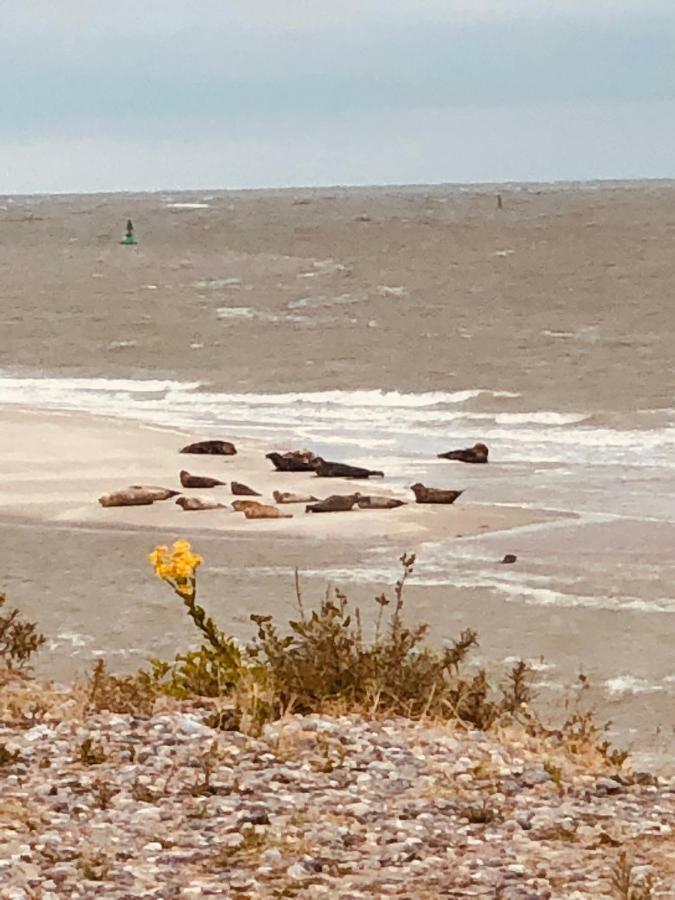 Le Parc Aux Huitres Hotell Cayeux-sur-Mer Exteriör bild